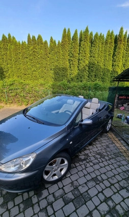 Peugeot 307 CC cena 9800 przebieg: 316000, rok produkcji 2004 z Aleksandrów Łódzki małe 154